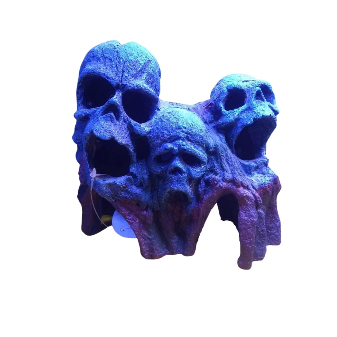 CALAVERAS SOBRE ROCA 18*11*15