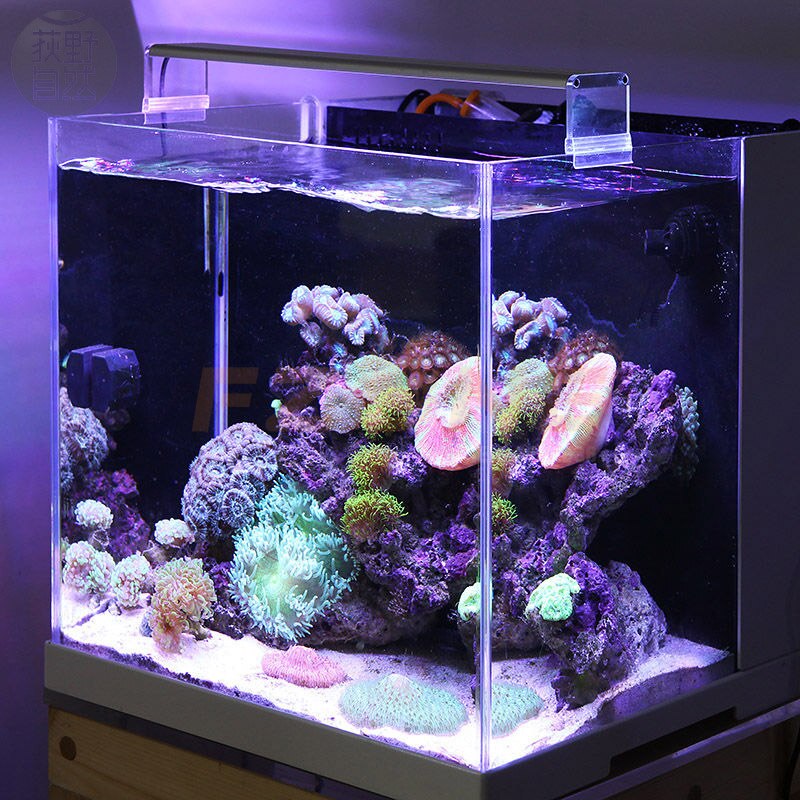 LED CHIHIROS A-SERIES MARINOS 50CM