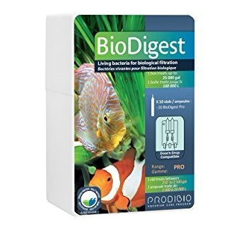 PRODIBIO BIODIGEST PRO AMPOLLA