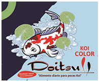 DOITSU KOI COLOR FRACCIONADO 250GS