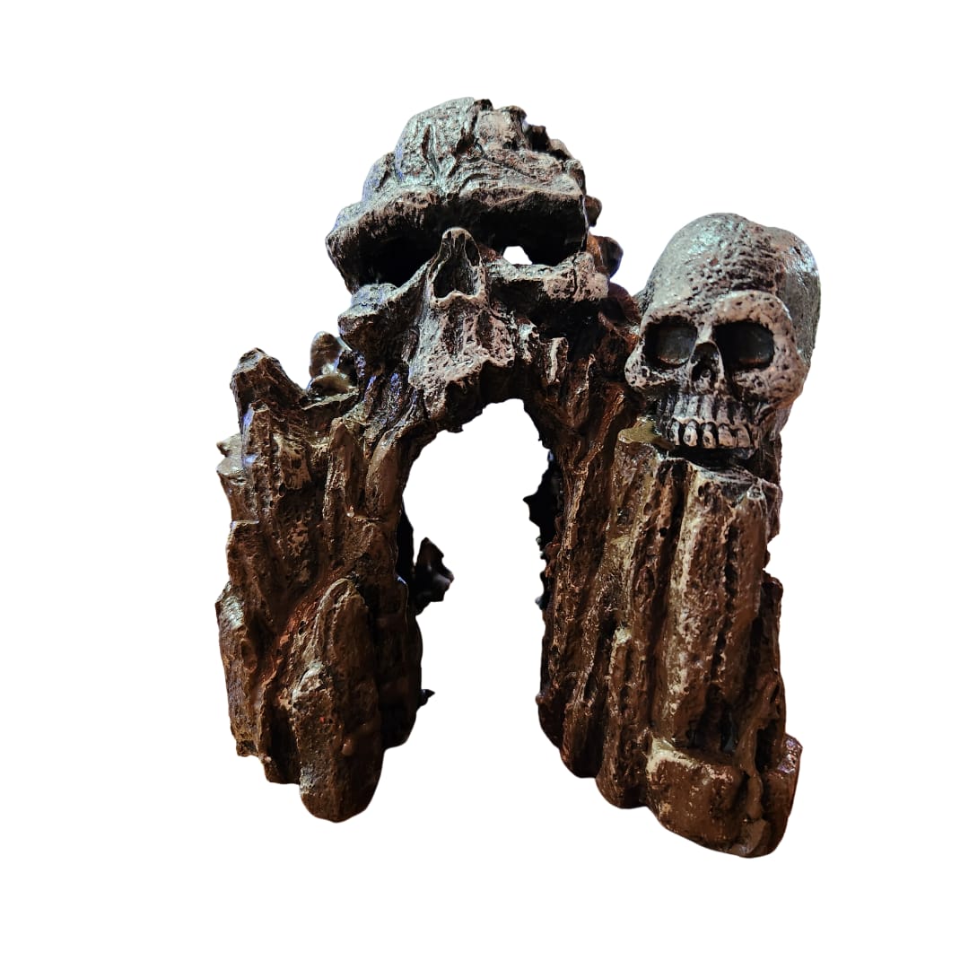 CUEVA CRANEO