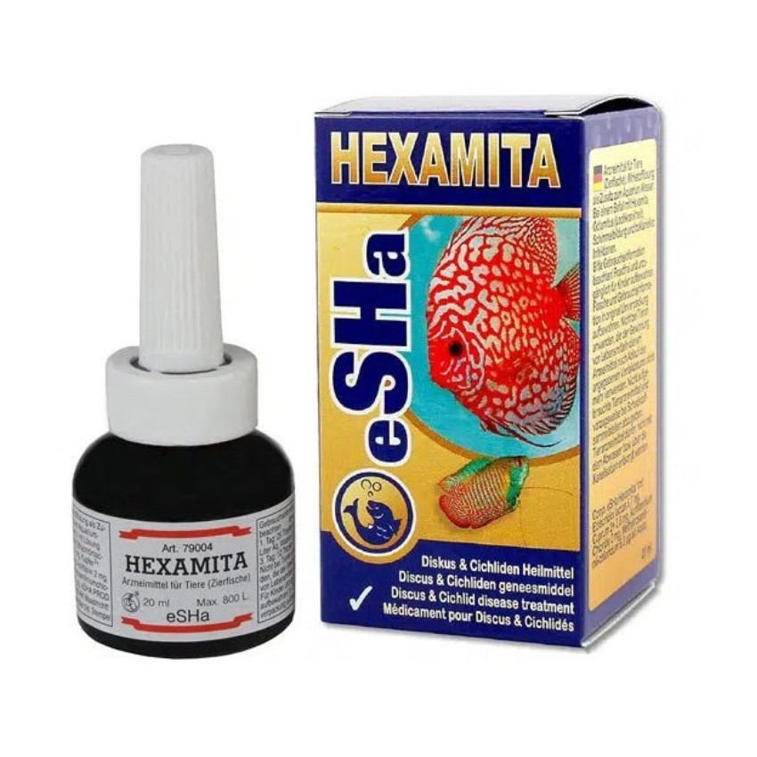 ESHA HEXAMITA