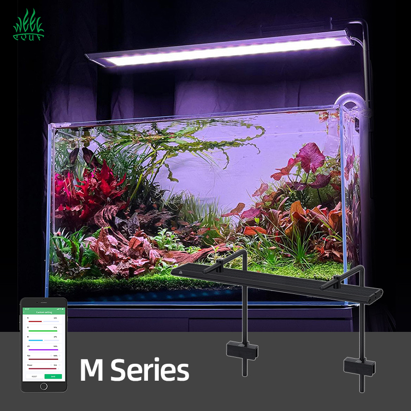 Week Aqua MD1200 Pro-D2 + Shadow (RGB + UV)