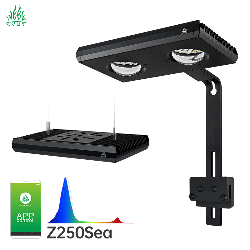 WEEK AQUA Z250 PROSEA 60W