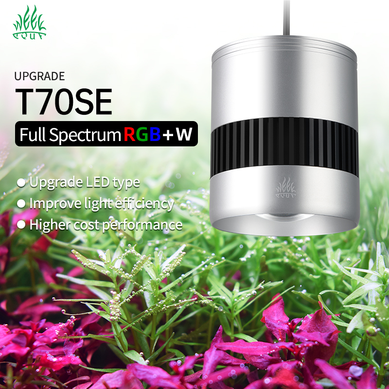 WEEK AQUA T70SE