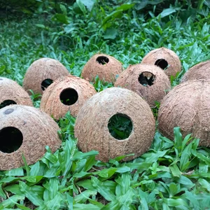 COCO NATURAL PERFORADO REFUGIO PECES