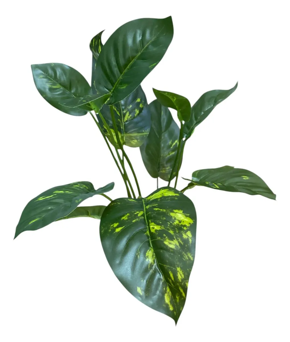 PLANTA PLASTICA ANUBIA COV-5841