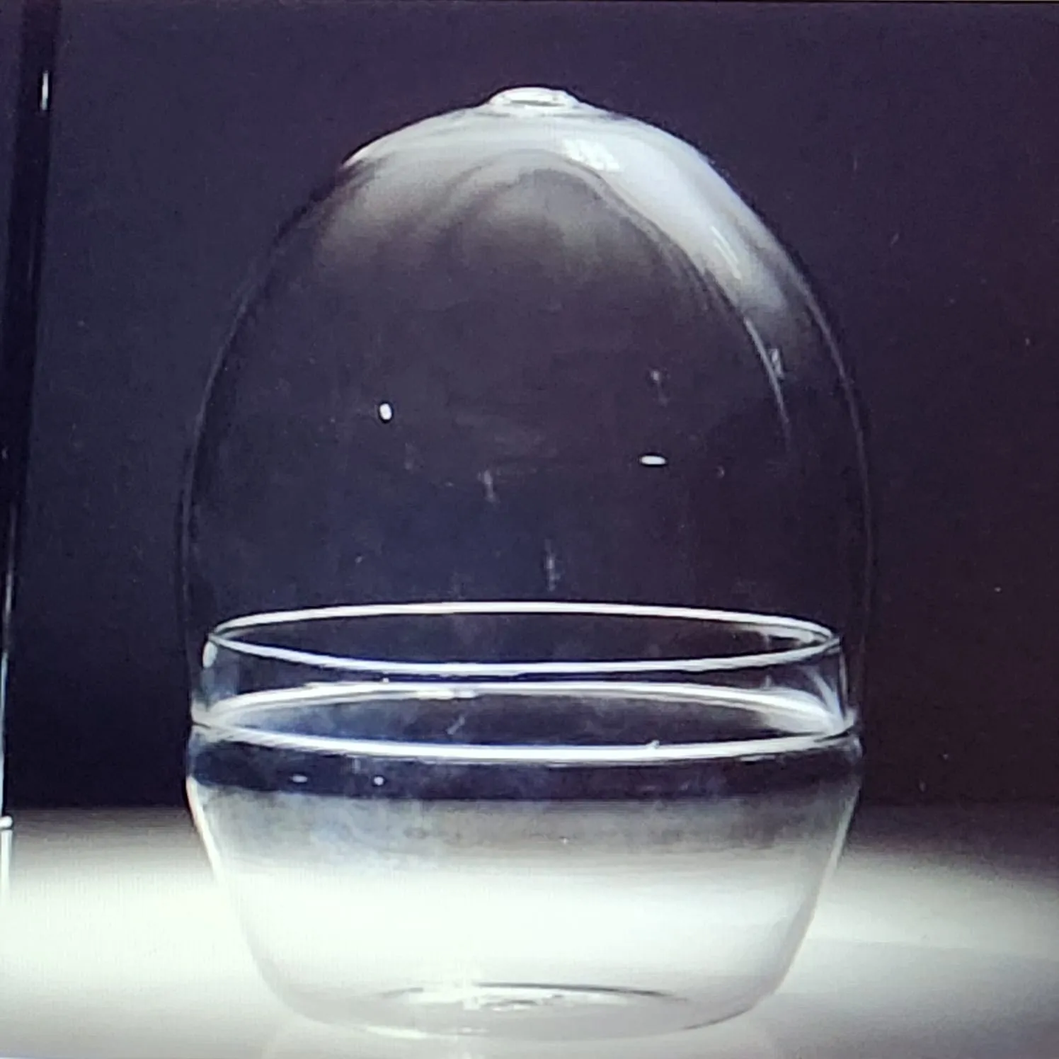 MUSGARIO "EGG" CON CAMPANA DE VIDRIO