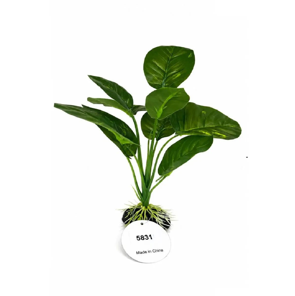 PLANTA PLASTICA ANUBIA COV-5831