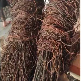 LIANAS DECORACIÓN