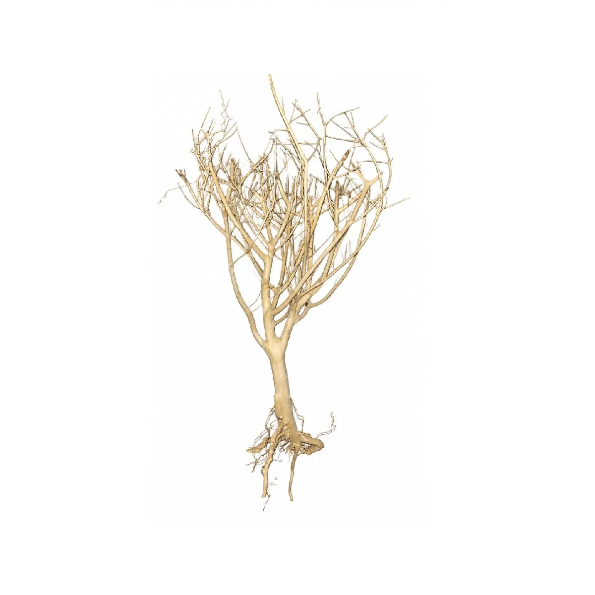MINI ARBOLES HARDSCAPE NANO ACUARIOS