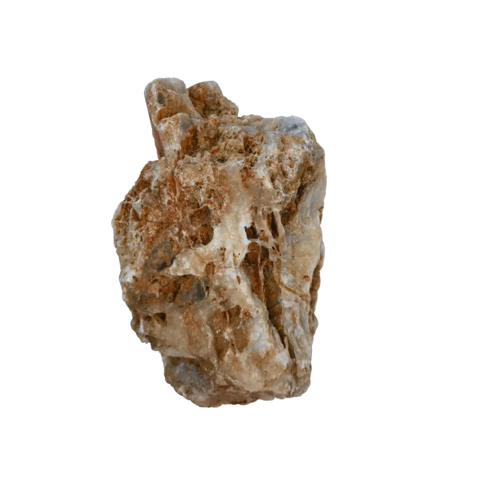 BONE STONE