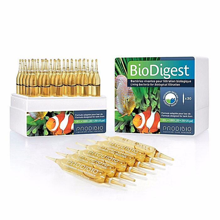 PRODIBIO BIODIGEST AMPOLLA