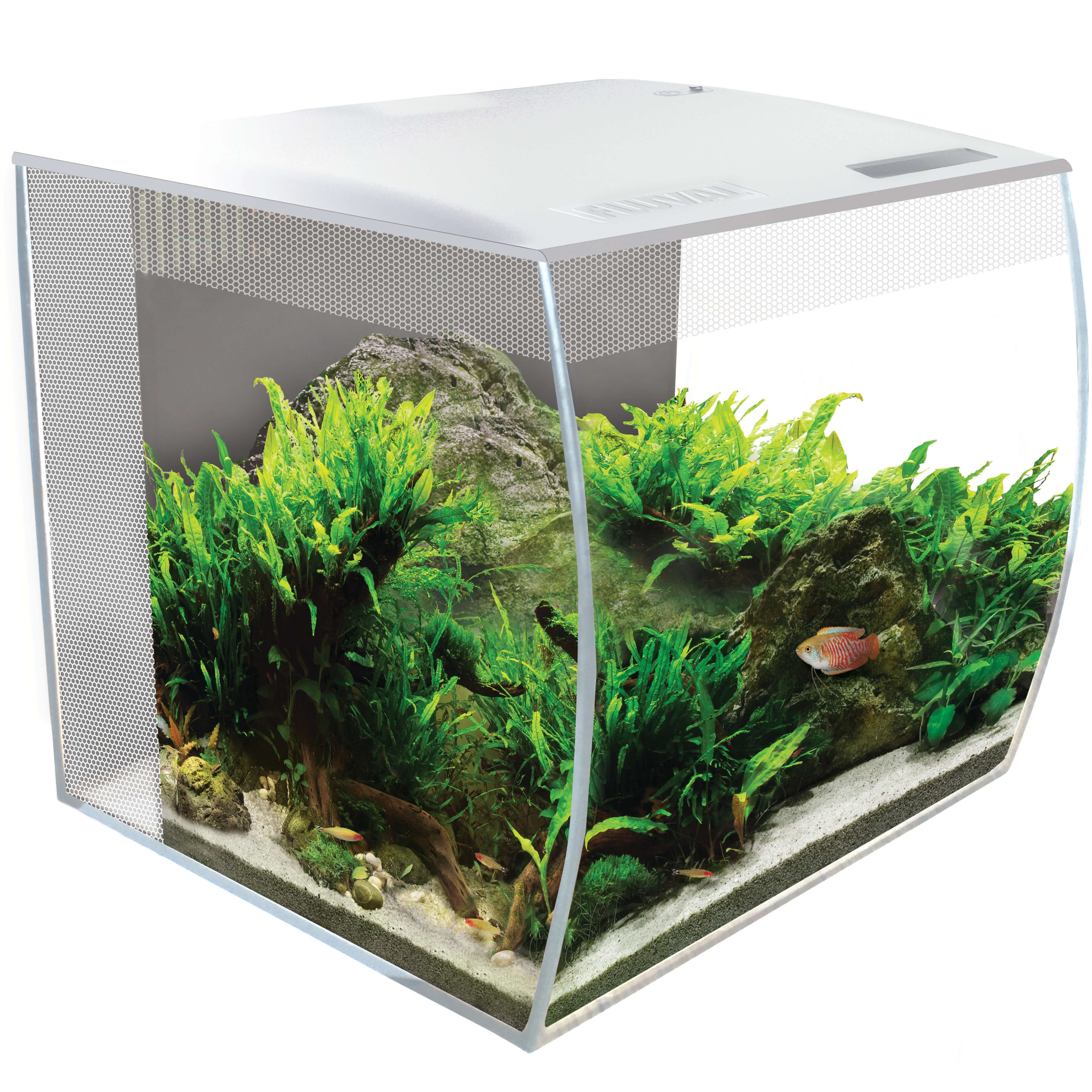 FLUVAL ACUARIO FLUVAL FLEX 34L BLANCO