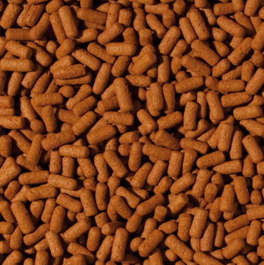TROPICAL CICHLID & AROWANA STICK LARGE 300GS
