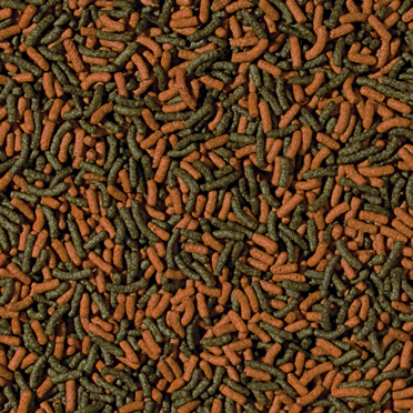 TROPICAL CICHLID RED & GREEN MEDIUM STICKS 90GS