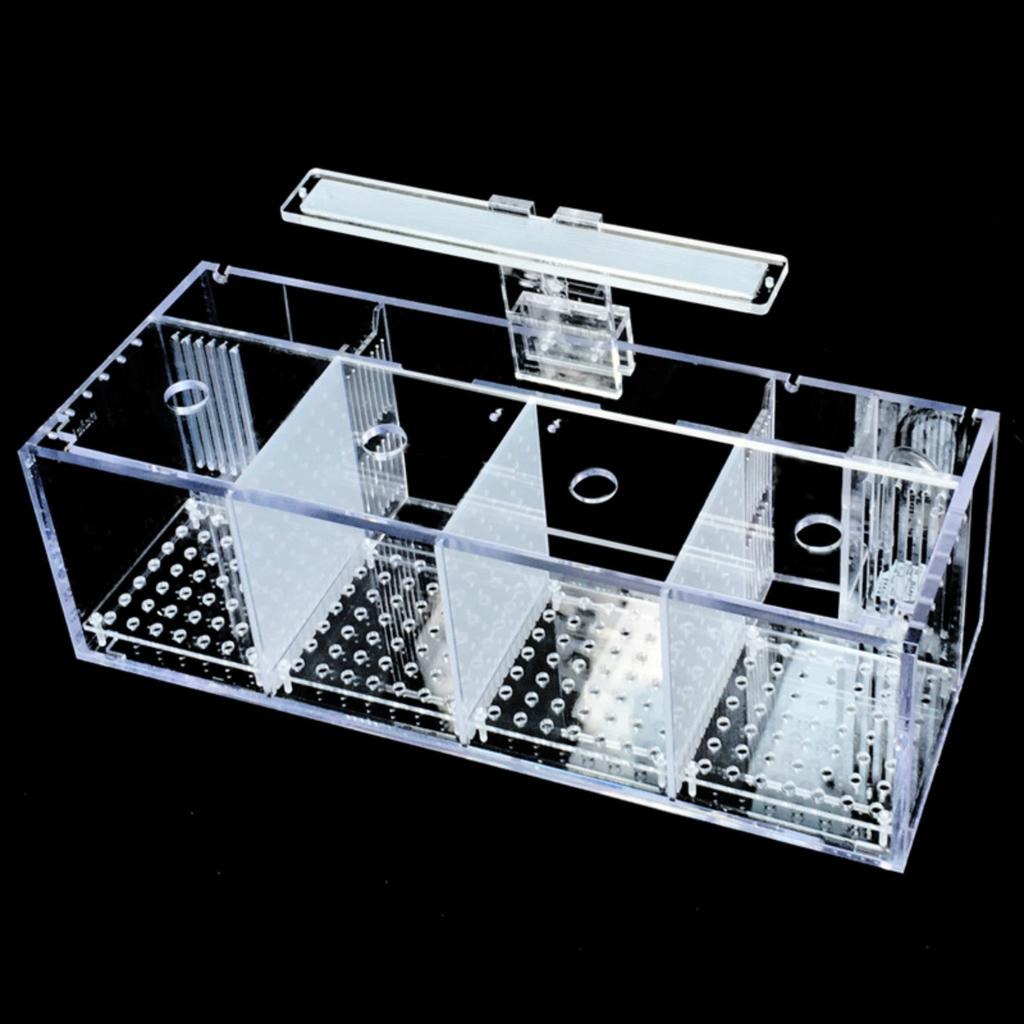 MULTIBETERA ACRILICA
