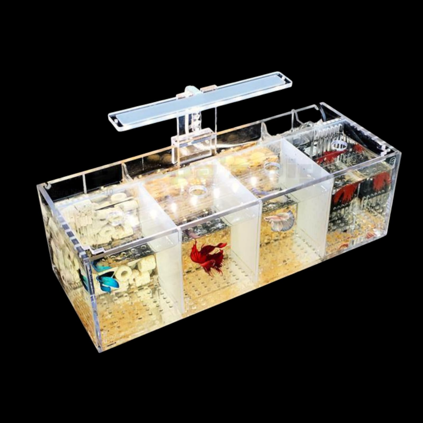 MULTIBETERA ACRILICA