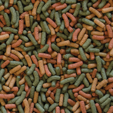 TROPICAL BIOREPT W 150GS