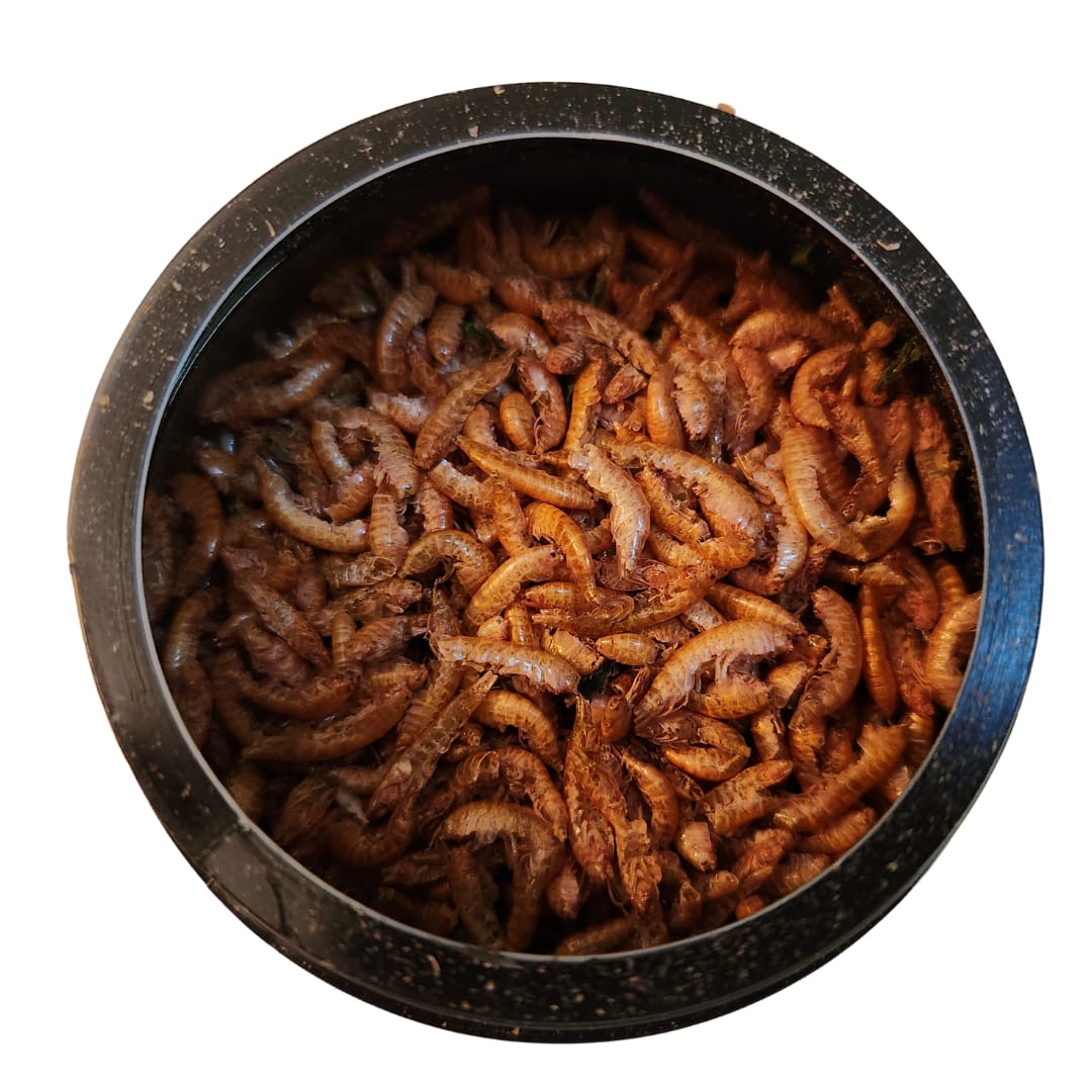 ALPHA PET GAMMARUS 20GS