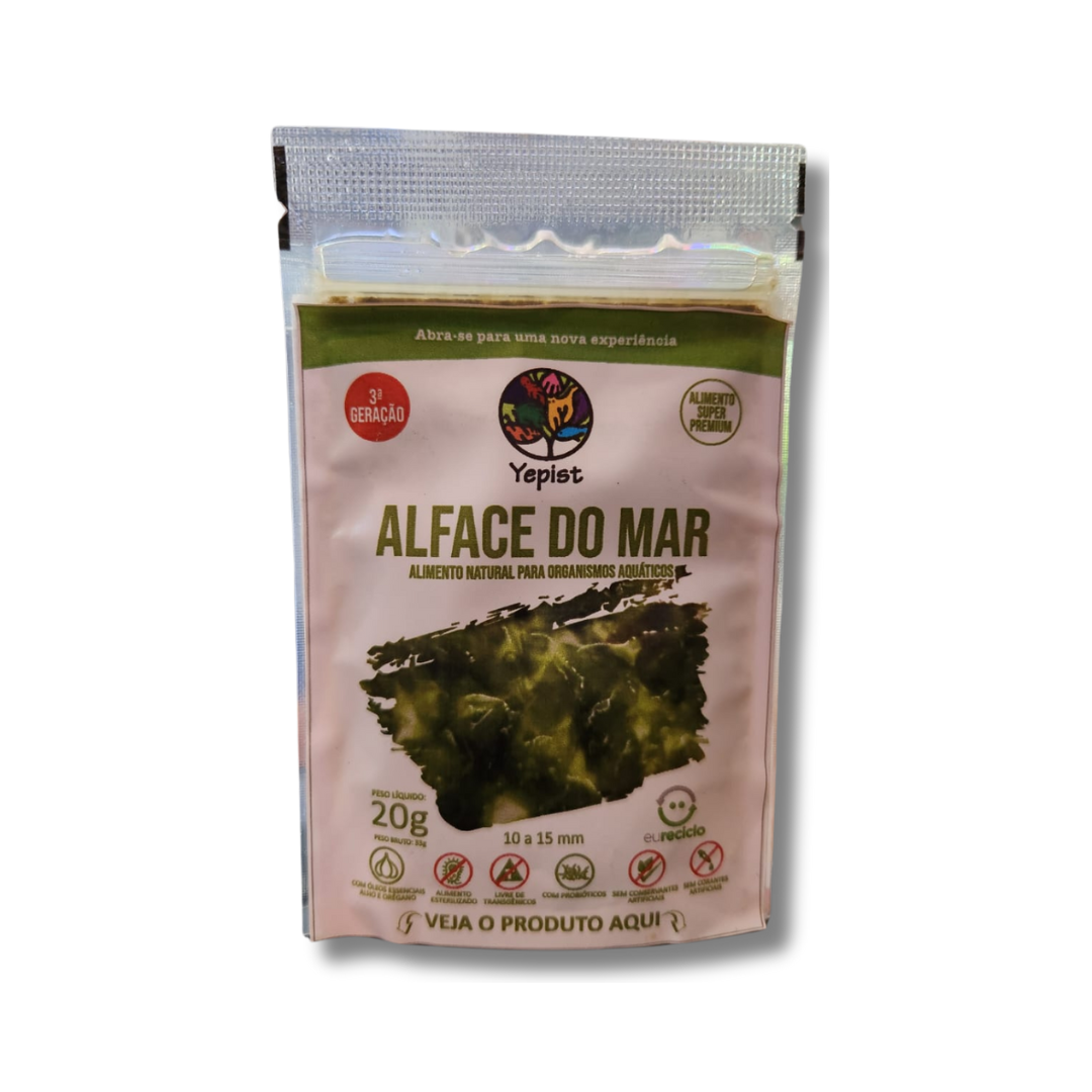 ALGAS DE MAR EN CONSERVA 20GS