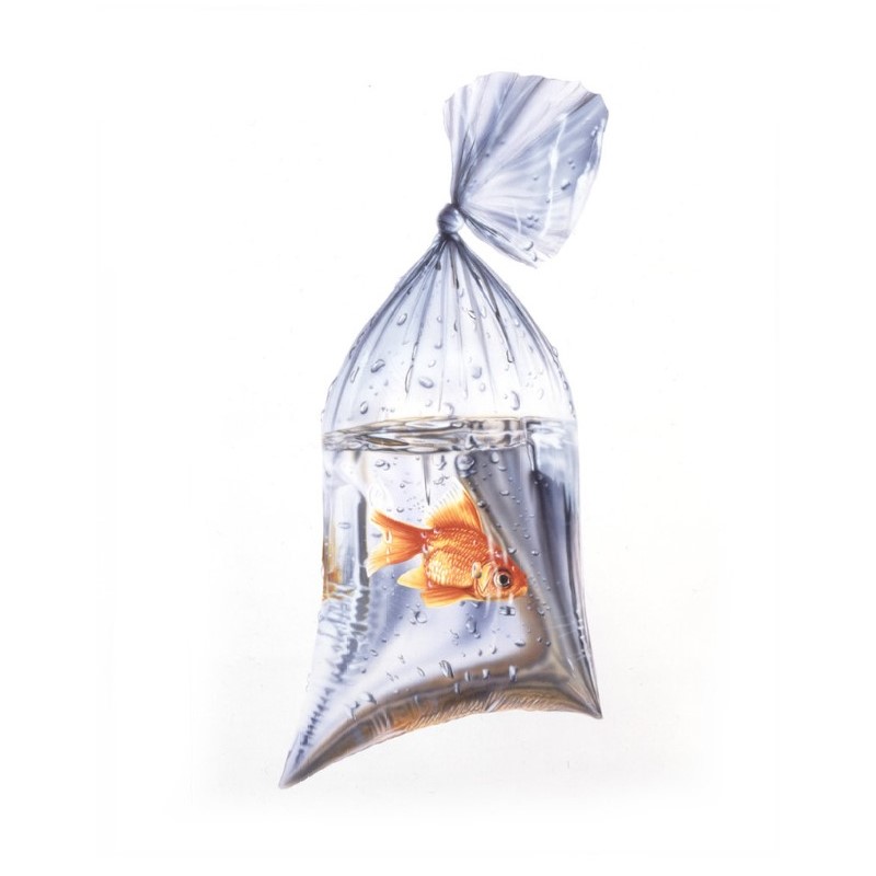 BOLSA PARA PECES BETTA 10 *30