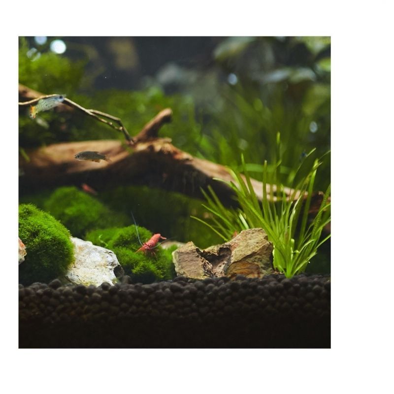 AQUAVITRO AQUASOLUM BLACK HUMATE 4 KG