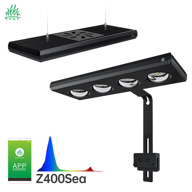 WEEK AQUA Z400 PROSEA 120W