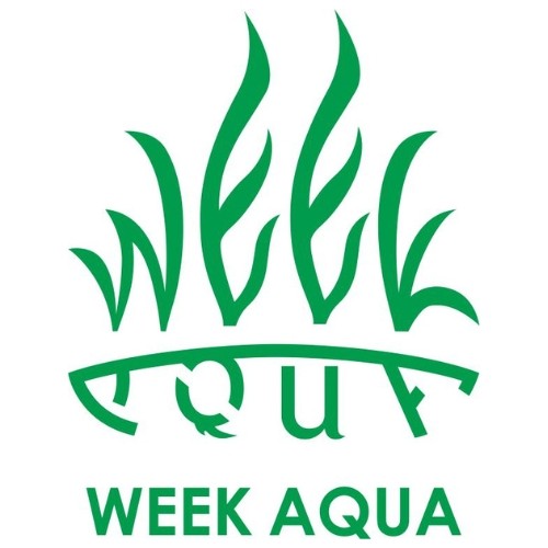 week aqua