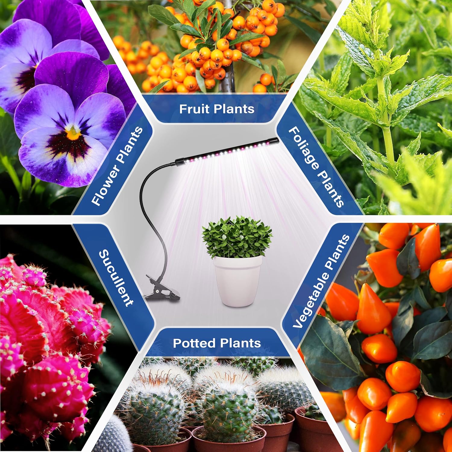 ILUMINADOR PLANTAS GROW 10W