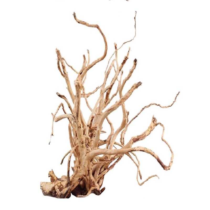 AZALEA ROOTS PIEZA MEDIUM