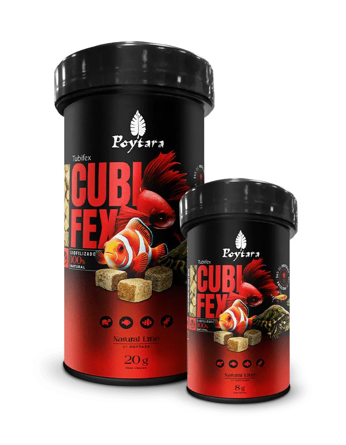 POYTARA CUBI FEX 8GS