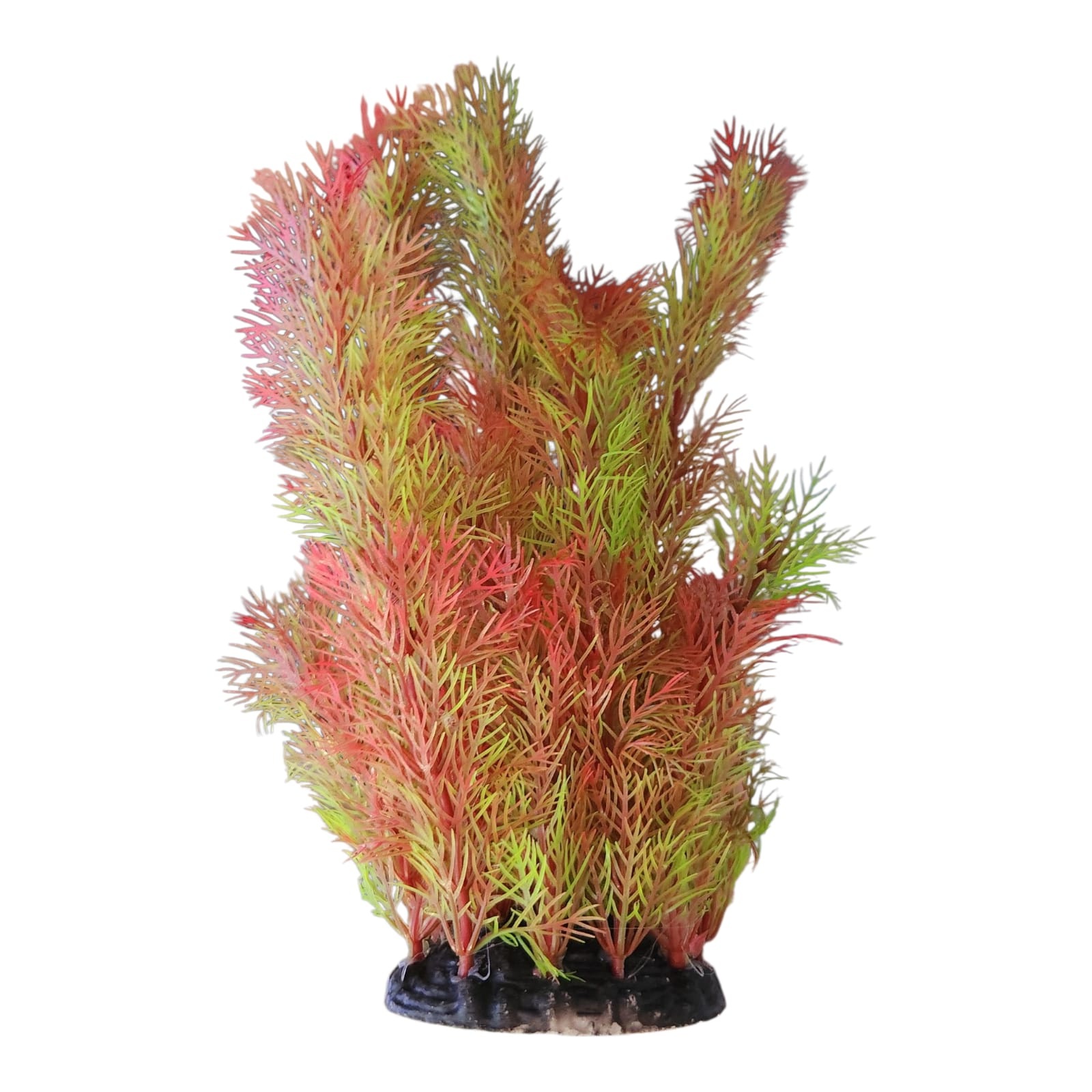 RS MYRIOPHYLLUM ROJO 25CM FA083A