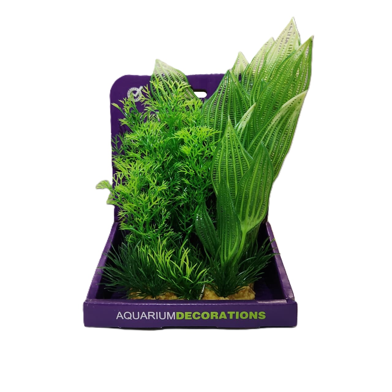 PLANTA PLASTICA AMBULIA CON APONGETON COV-AB040-112