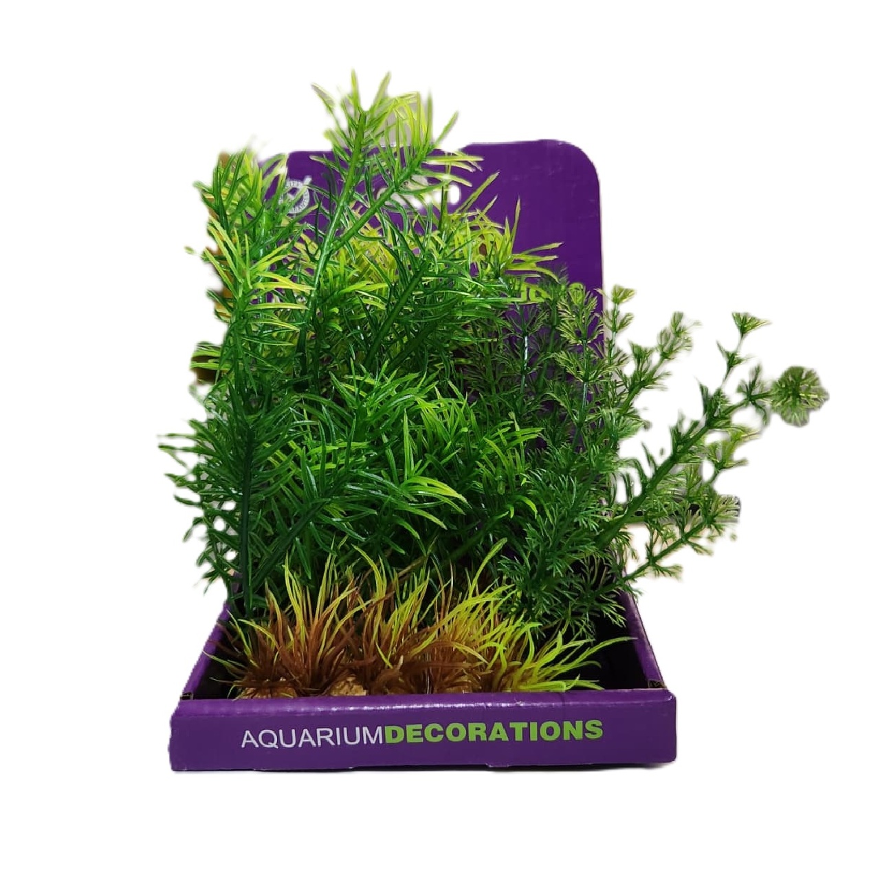 PLANTA PLASTICA DIDIPLIS CON AMBULIA COV-AB040-104