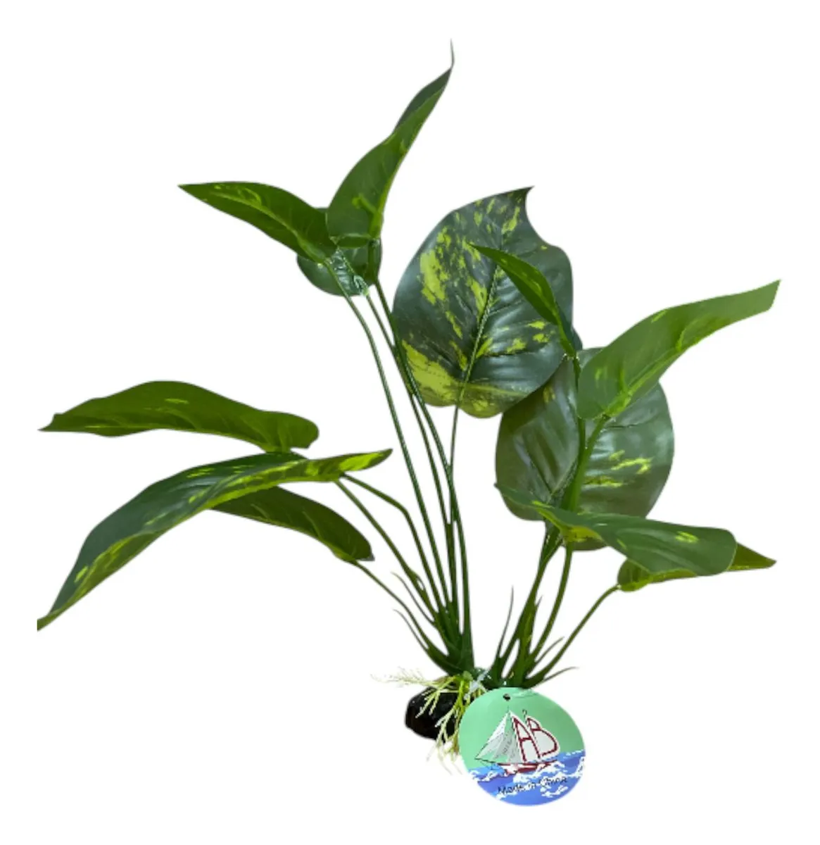 PLANTA PLASTICA ANUBIA COV-5841