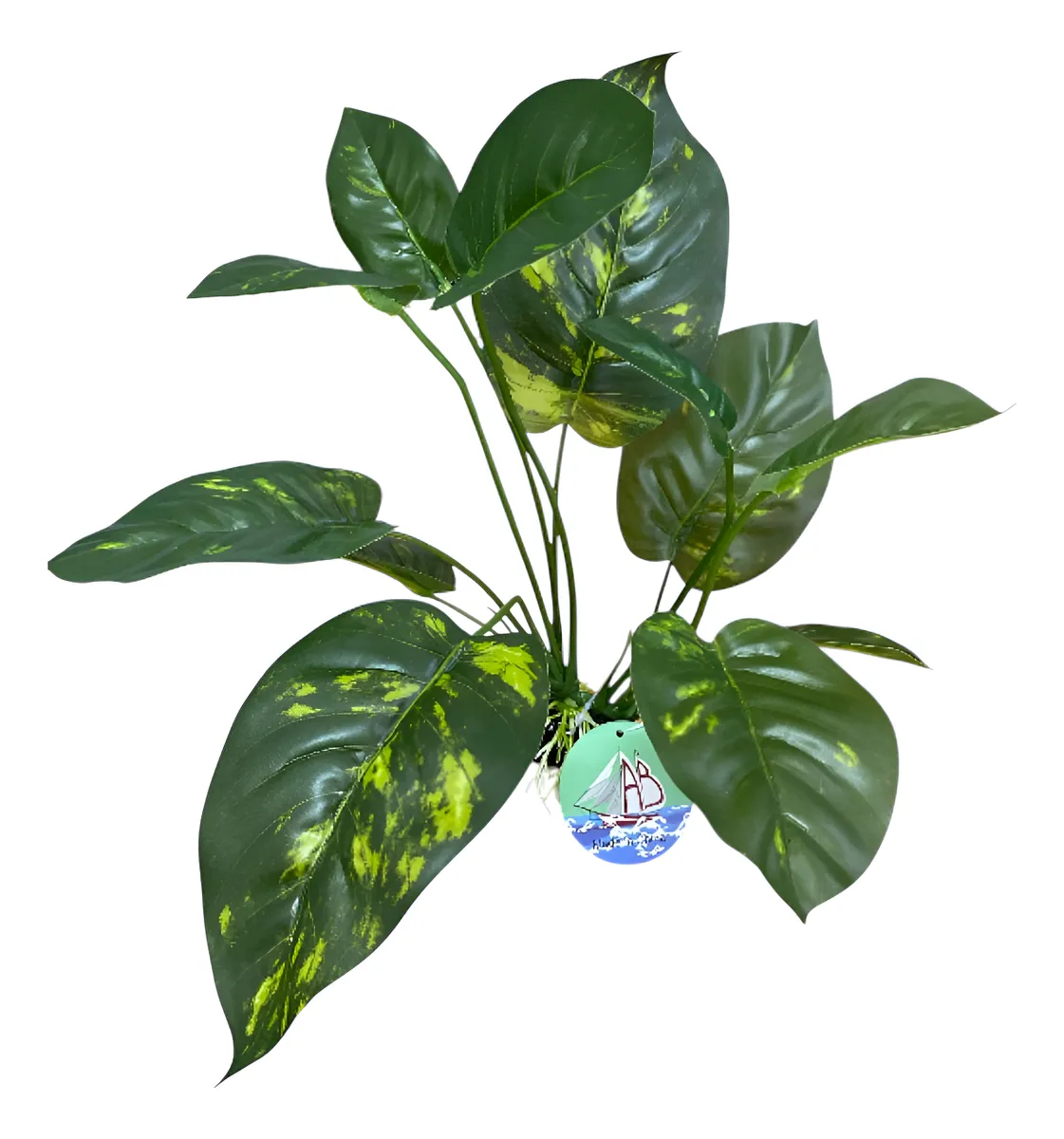 PLANTA PLASTICA ANUBIA COV-5841