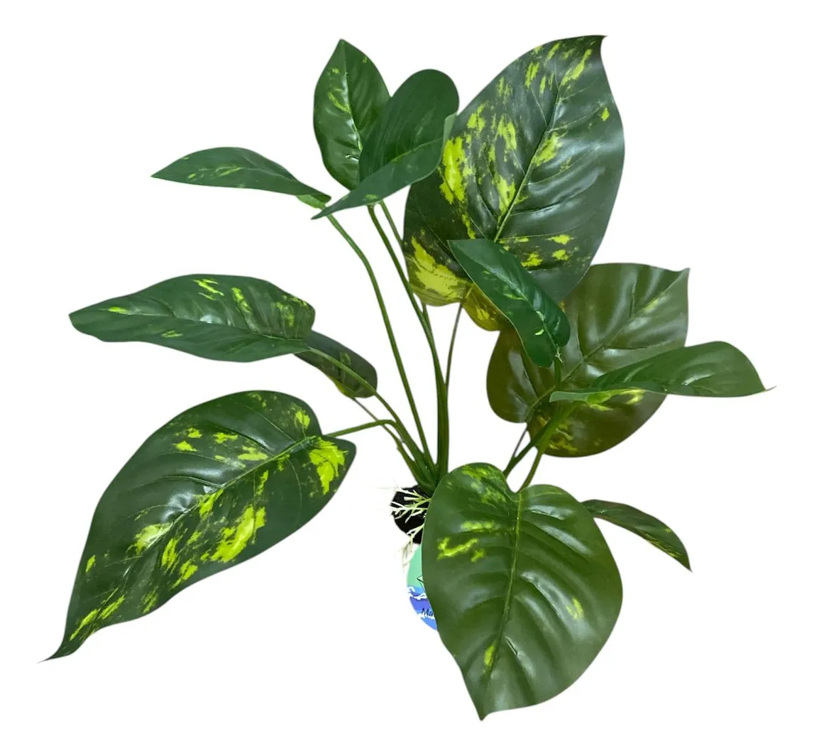 PLANTA PLASTICA ANUBIA COV-5841