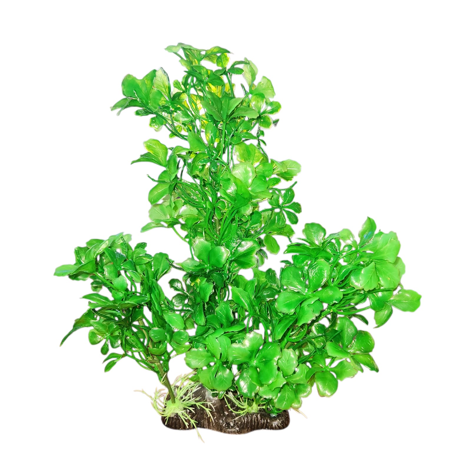 RS HYGROPHILA PLANTA PLASTICA 30CM LM-058b