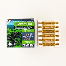 PRODIBIO BIOVERT PLUS AMPOLLA