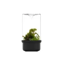BIOLOARK MUSGARIO CON BASE CERÁMICA MH100