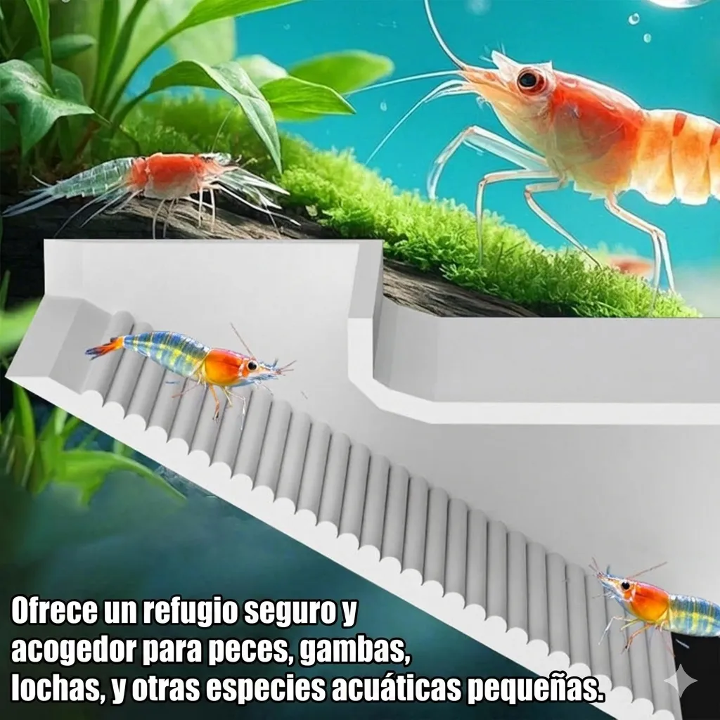 CUEVA / REFUGIO PARA OBSERVACION DE PECES E INVERTEBRADOS