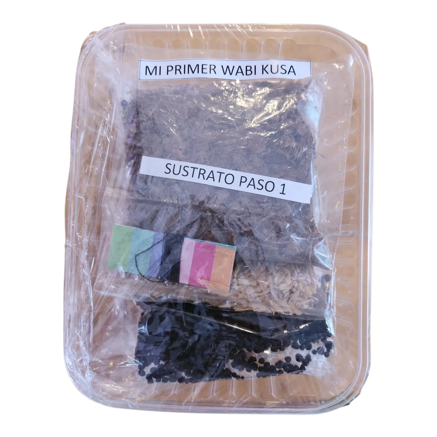 MI PRIMER WABI KUSA