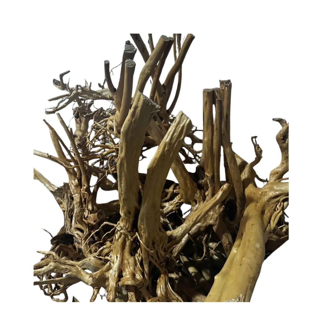 AZALEA ROOTS VERTICAL