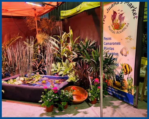 EVENTOS