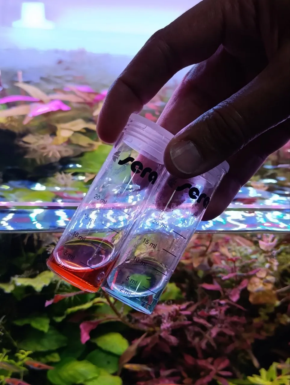 Tests de agua