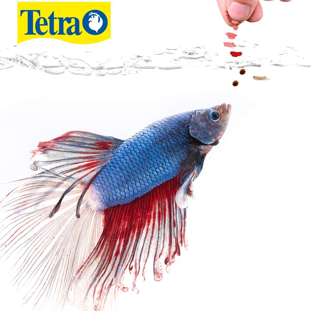 TETRA BETTAMIN 23GS