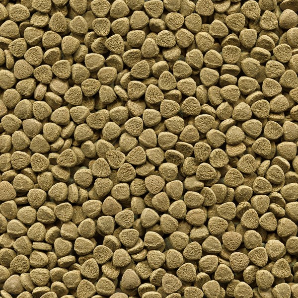 BOTTOM FISH 30GS