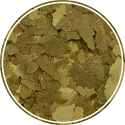SPIRULINA FLAKES 10GS